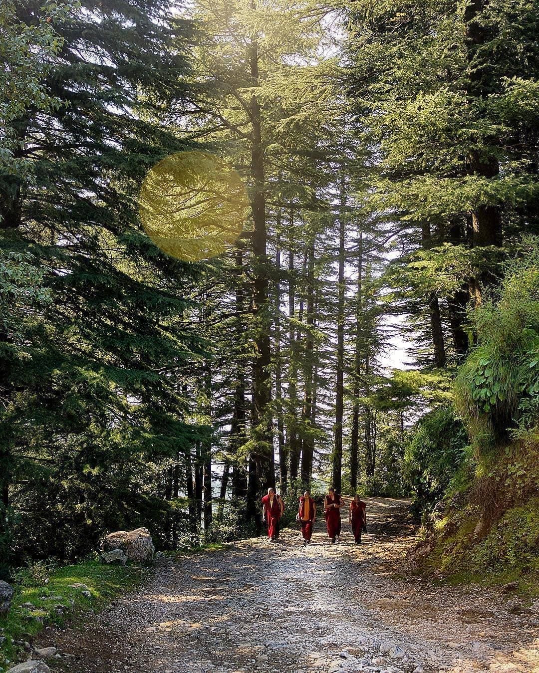 MCLEODGANJ TRIUND