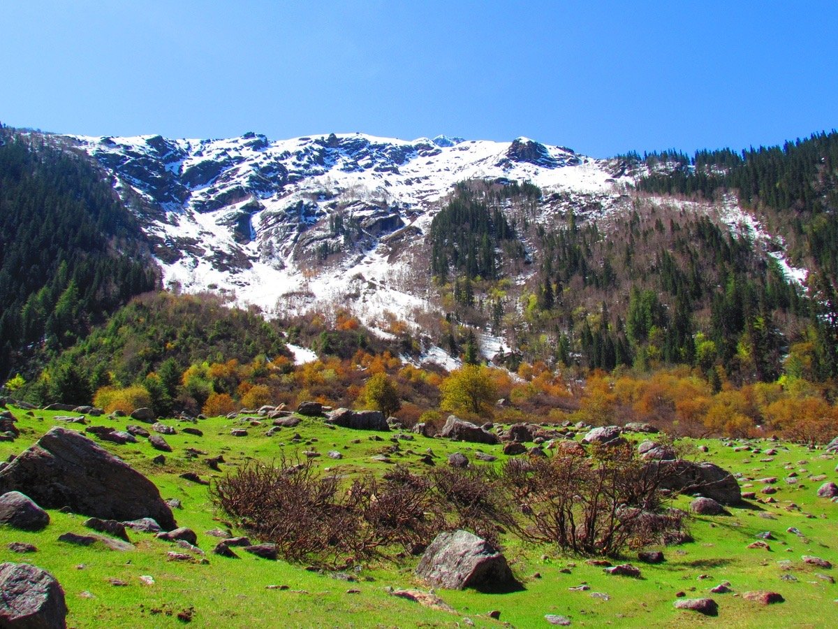 Kasol Kheergang Trek