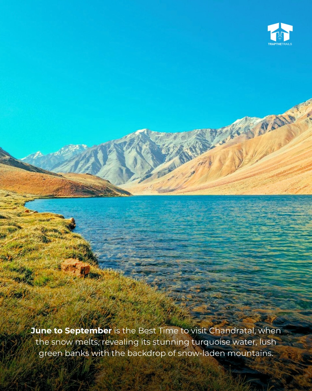 SaveClip.App_649046423_17909449029349182_2925638326571626322_n