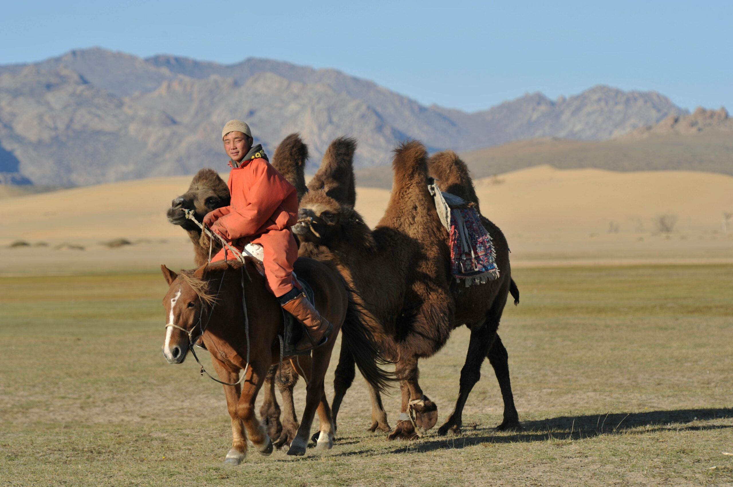 7 Days Thrilling Ladakh Tour with Umling La – Classic Value Circuit