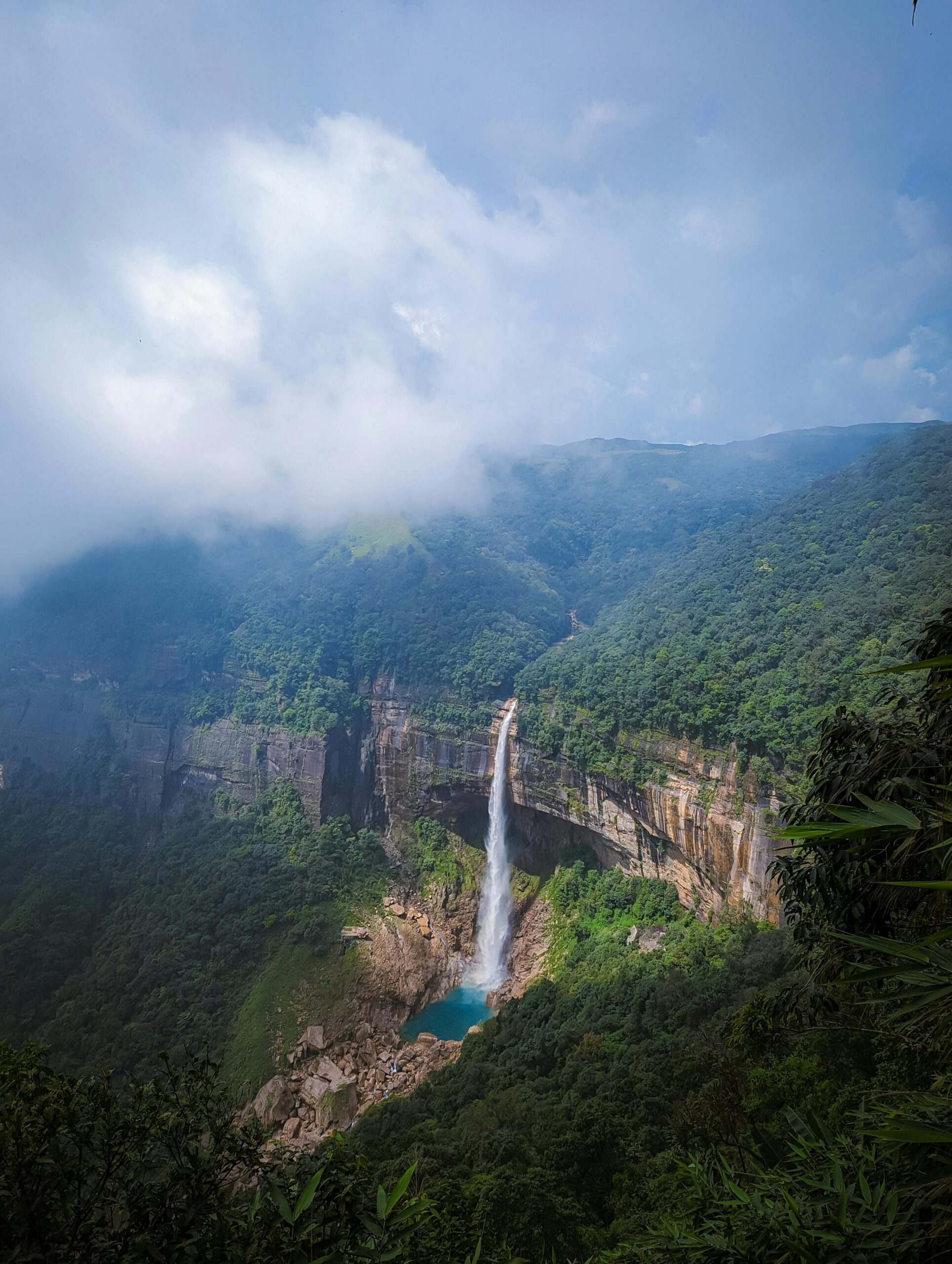 Wildlife Special – 8 Days Kaziranga Meghalaya Tour Package