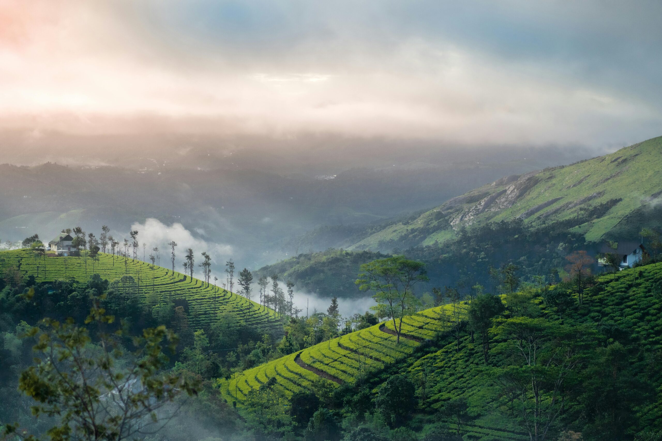 Classic 5 Days Kerala Honeymoon Tour Package