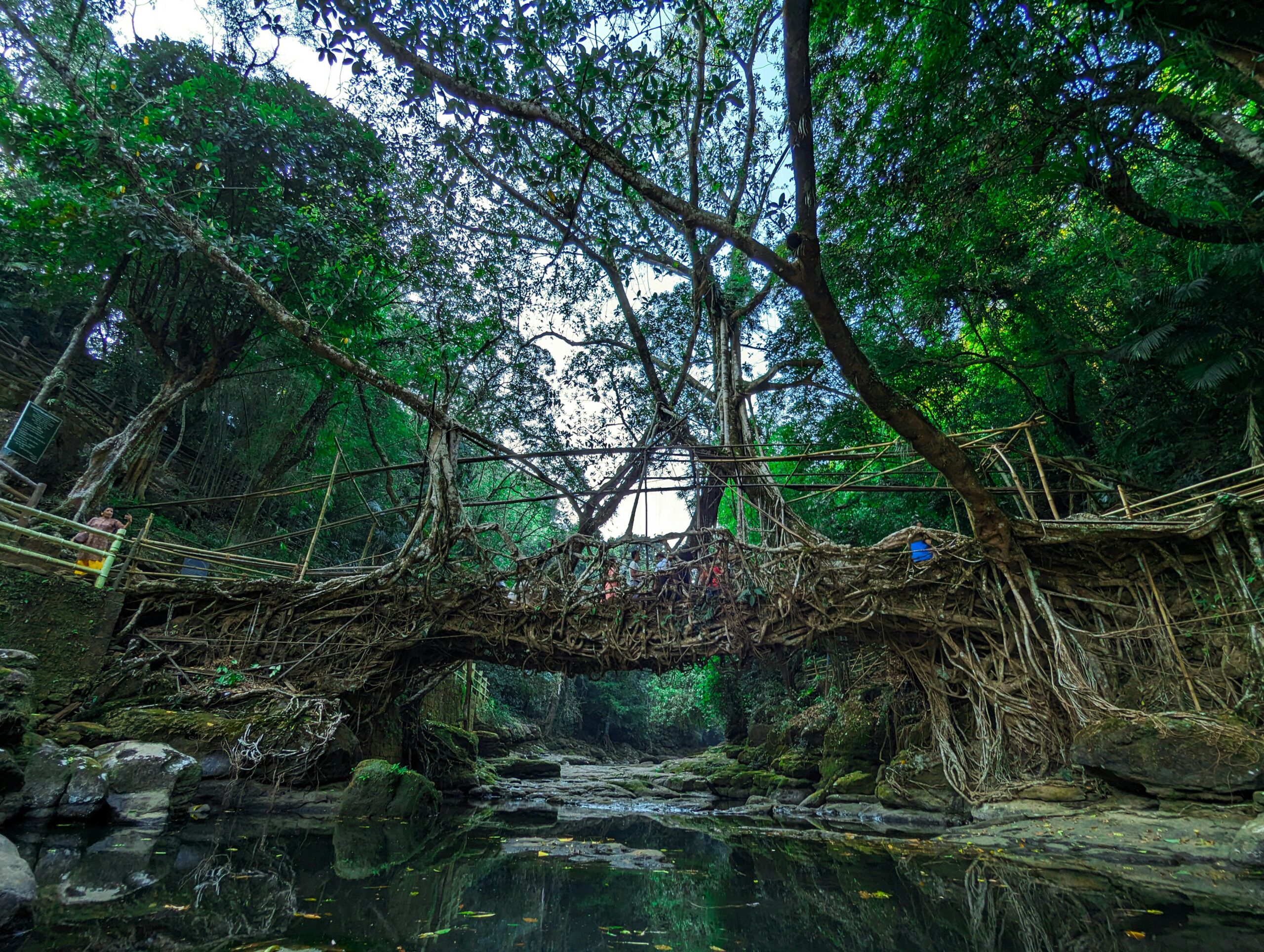 Meghalaya With Kaziranga Road Trip