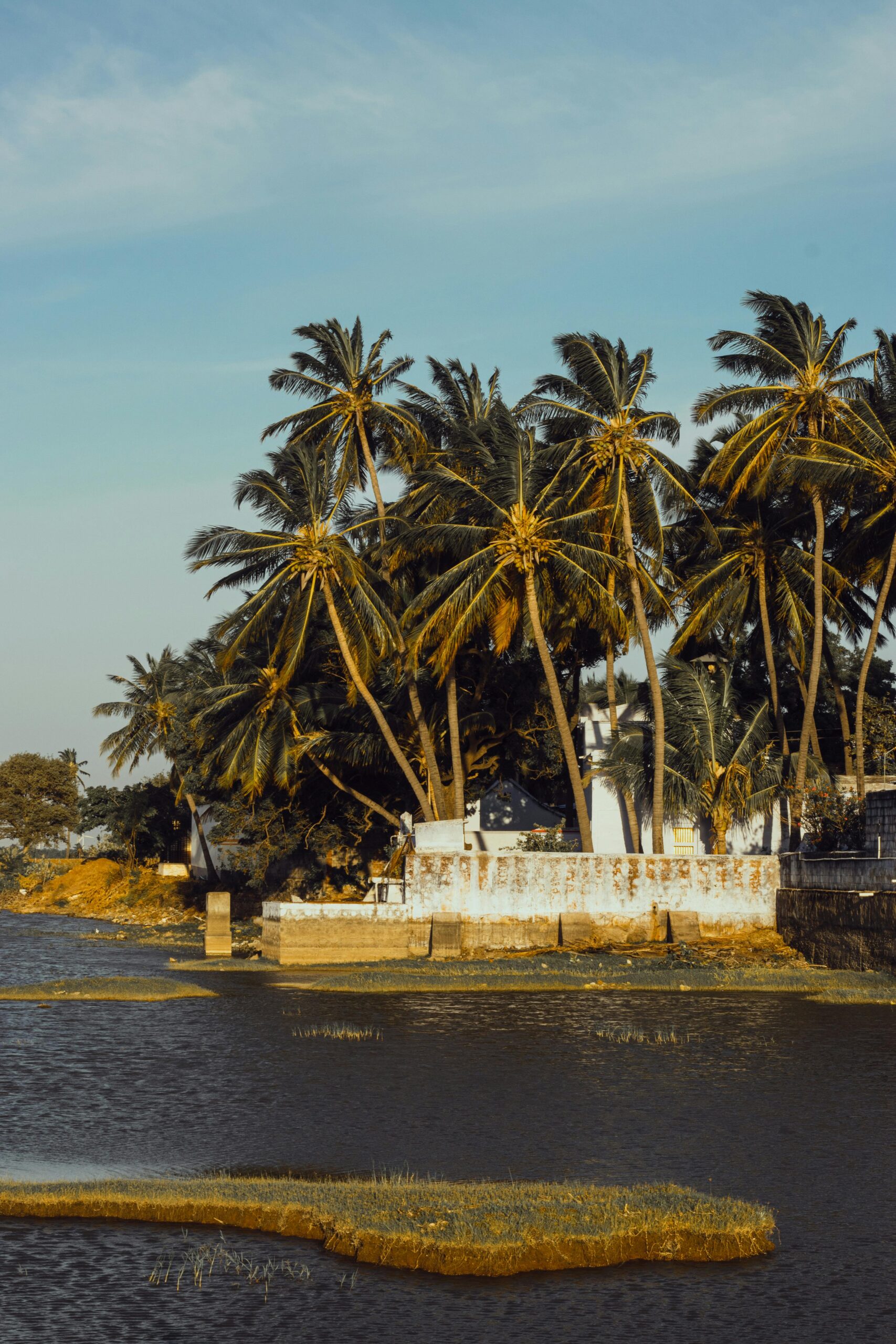 Classic 5 Days Kerala Honeymoon Tour Package