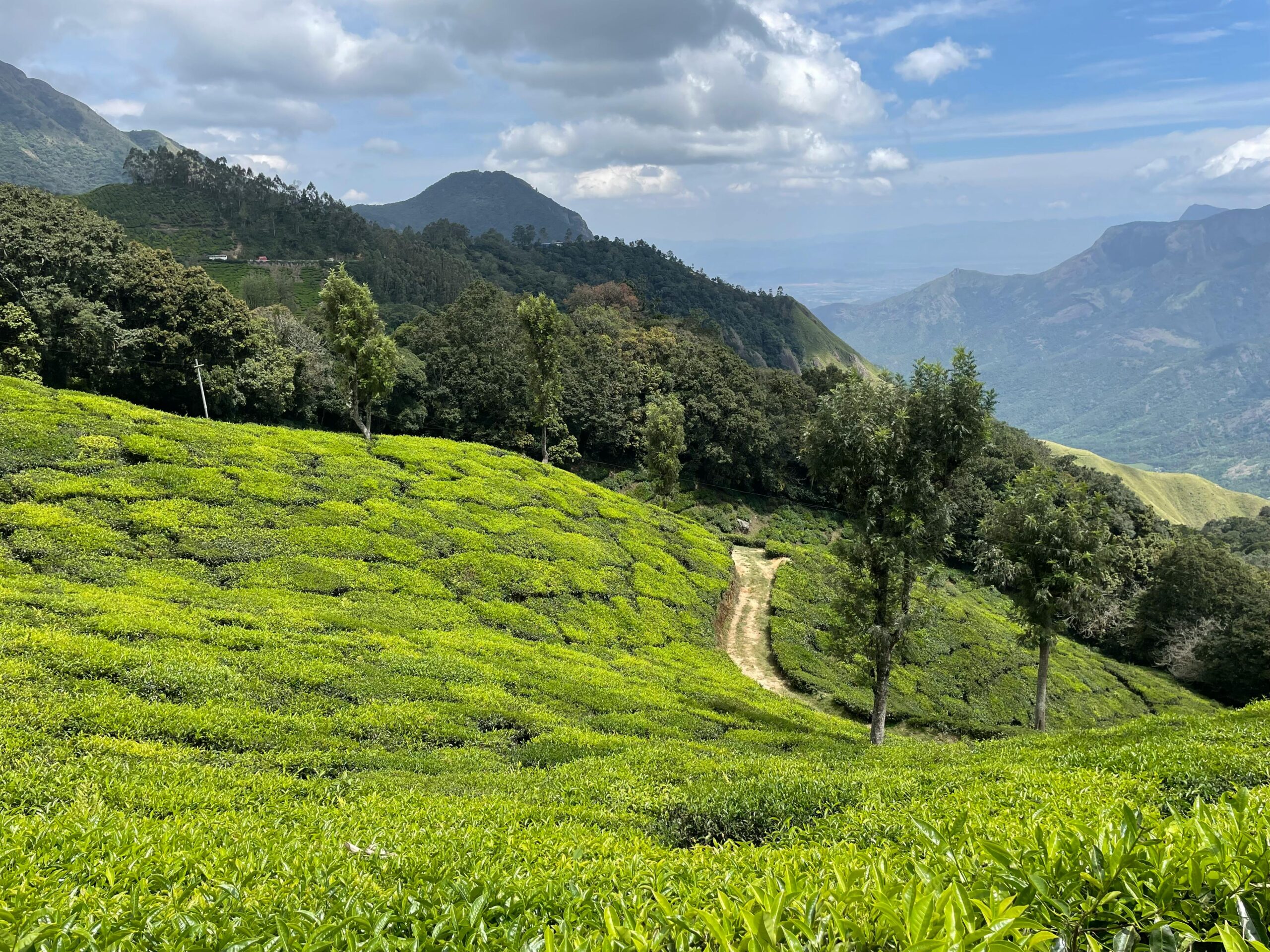 7 Days Kerala Tour Package