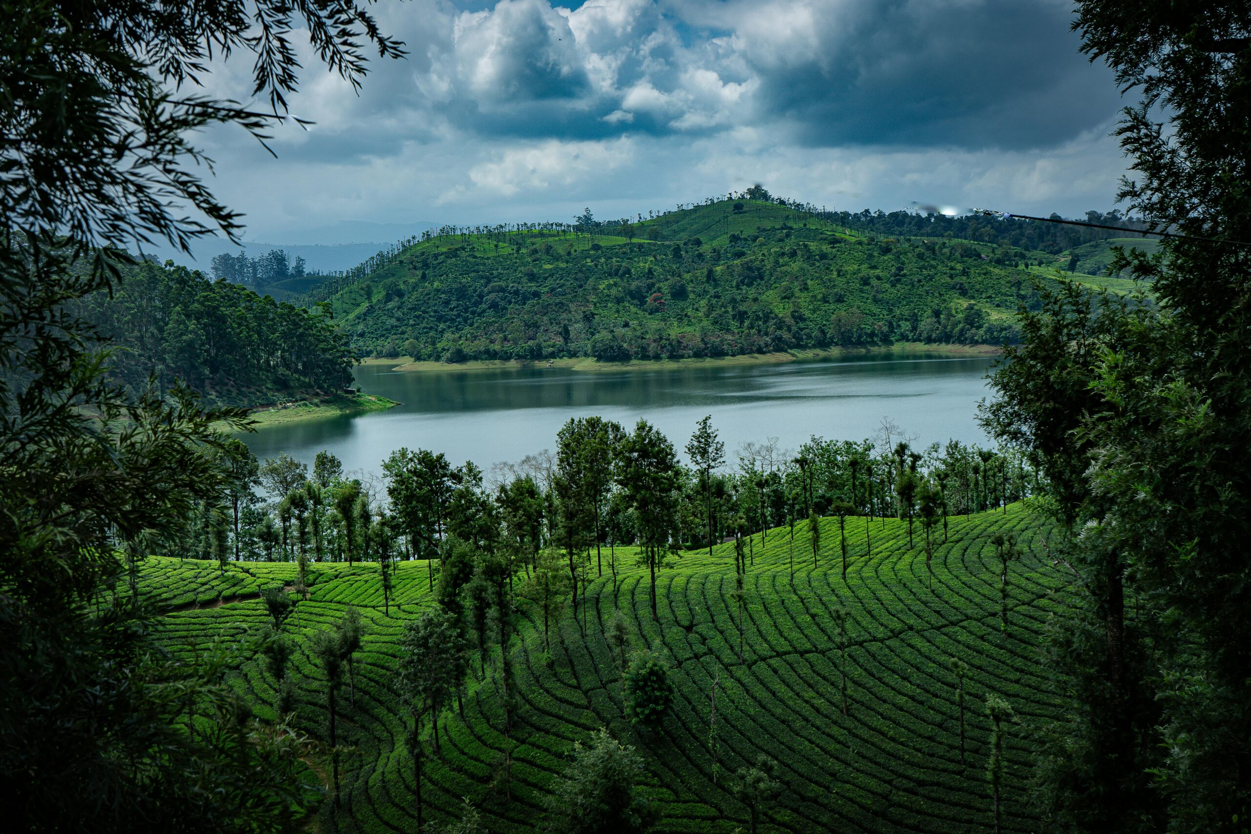 4 Days Short Trip to Kerala with Alleppey Backwaters